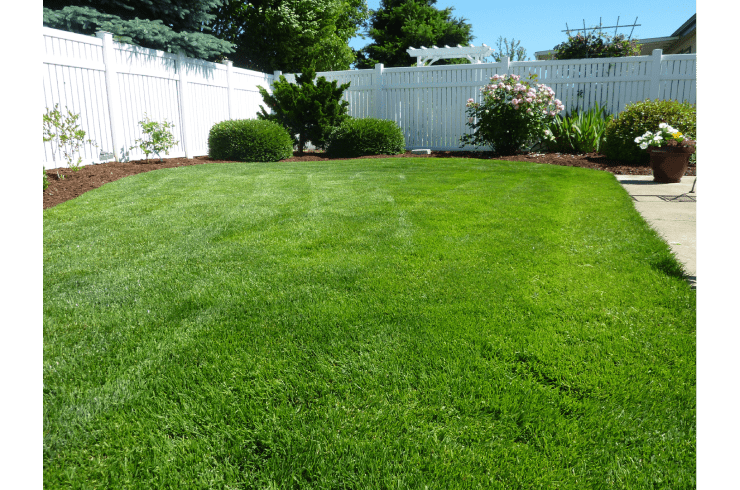 Poppa Cube Lawn, Land & More 